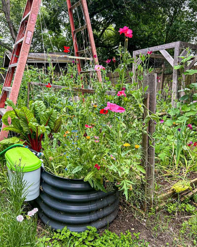 Edge Vegetable Gardens