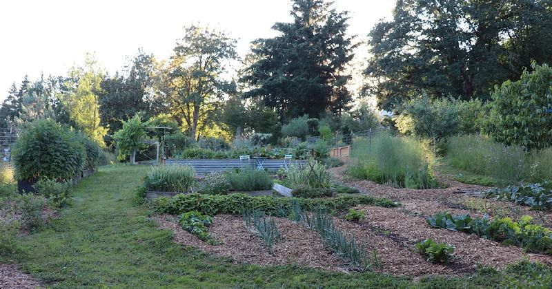 Saving Time On Garden Planning