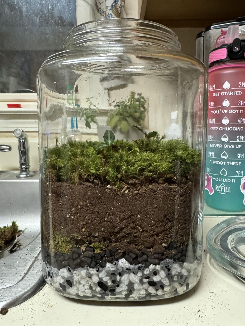 Layer In The Soil