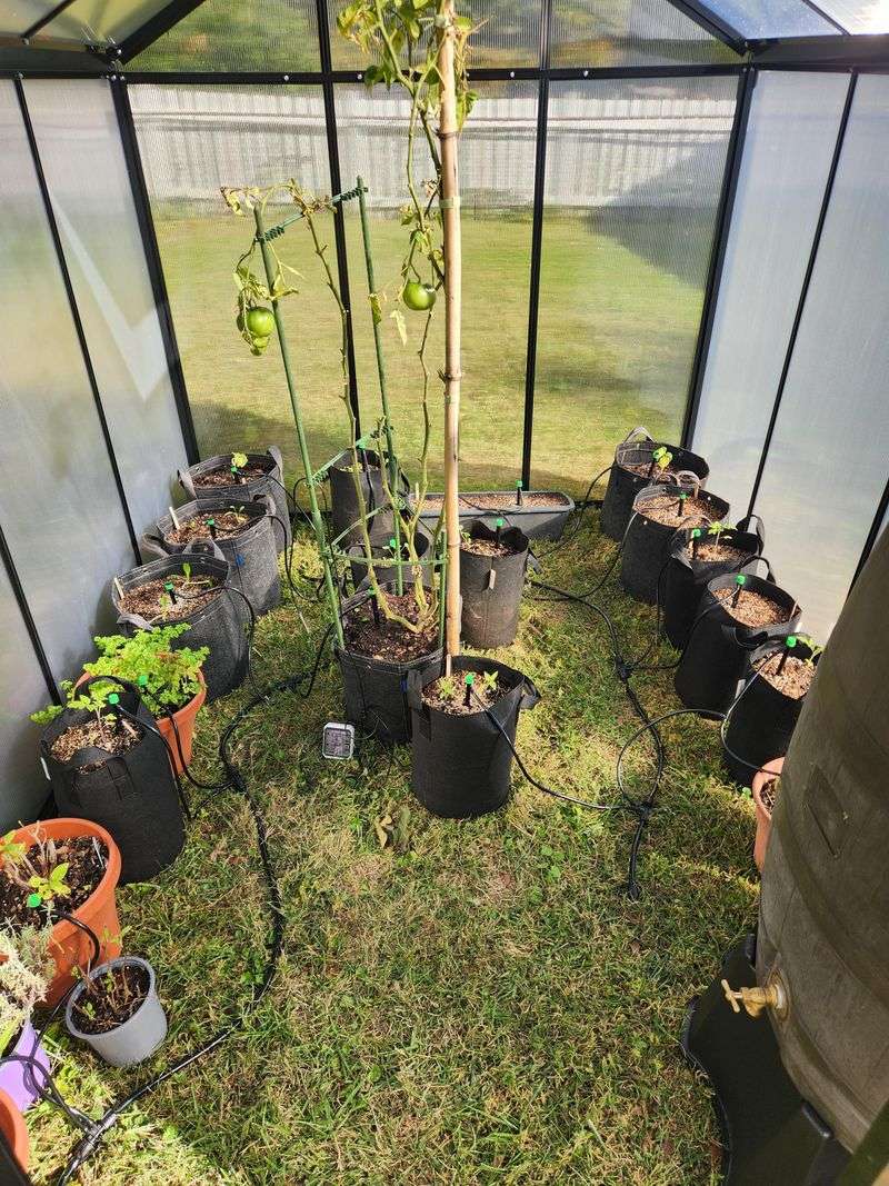 Set Up A Simple Watering System