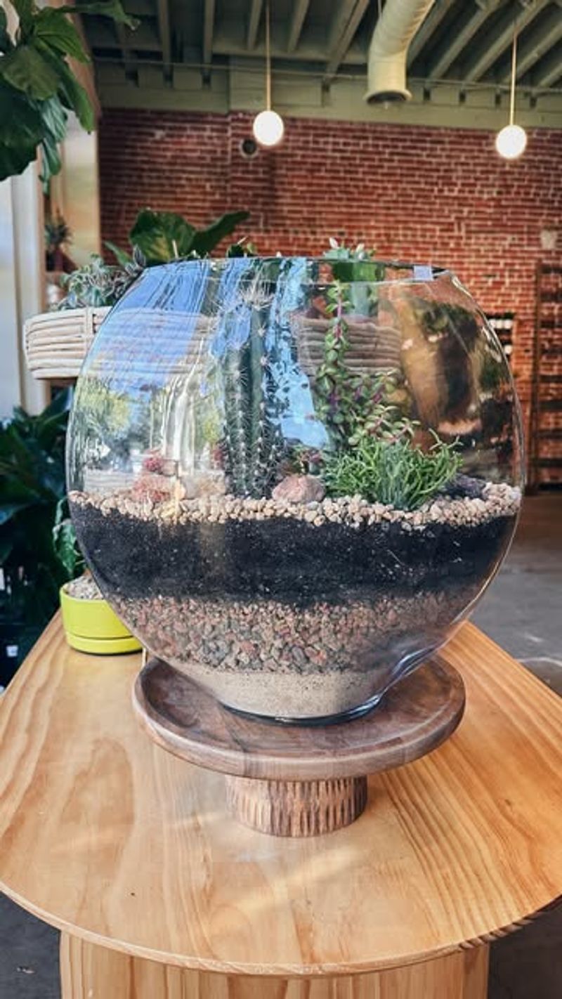 Water Your Terrarium