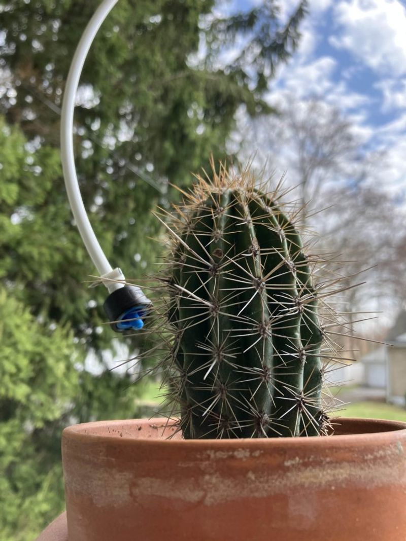 Install Smart Irrigation