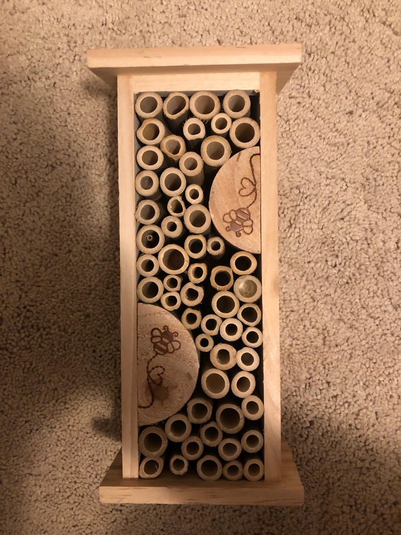 Maintain Your Bee Hotel Through Vermont Seasons