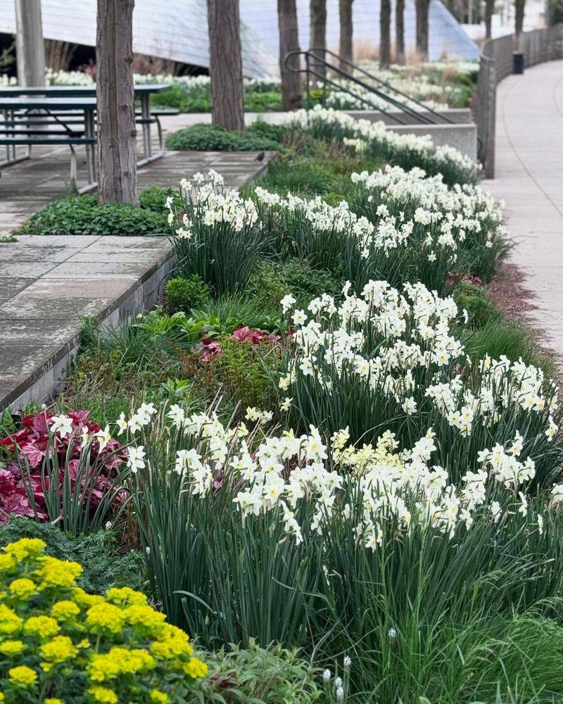 Map Out Your Planting Plan