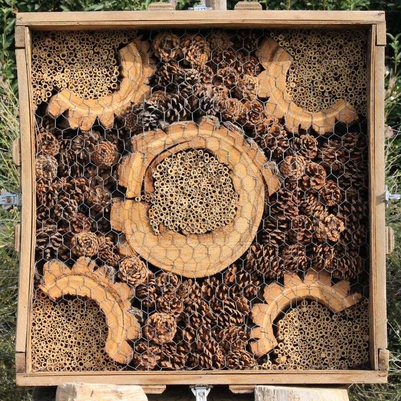 Create Beneficial Insect Habitats