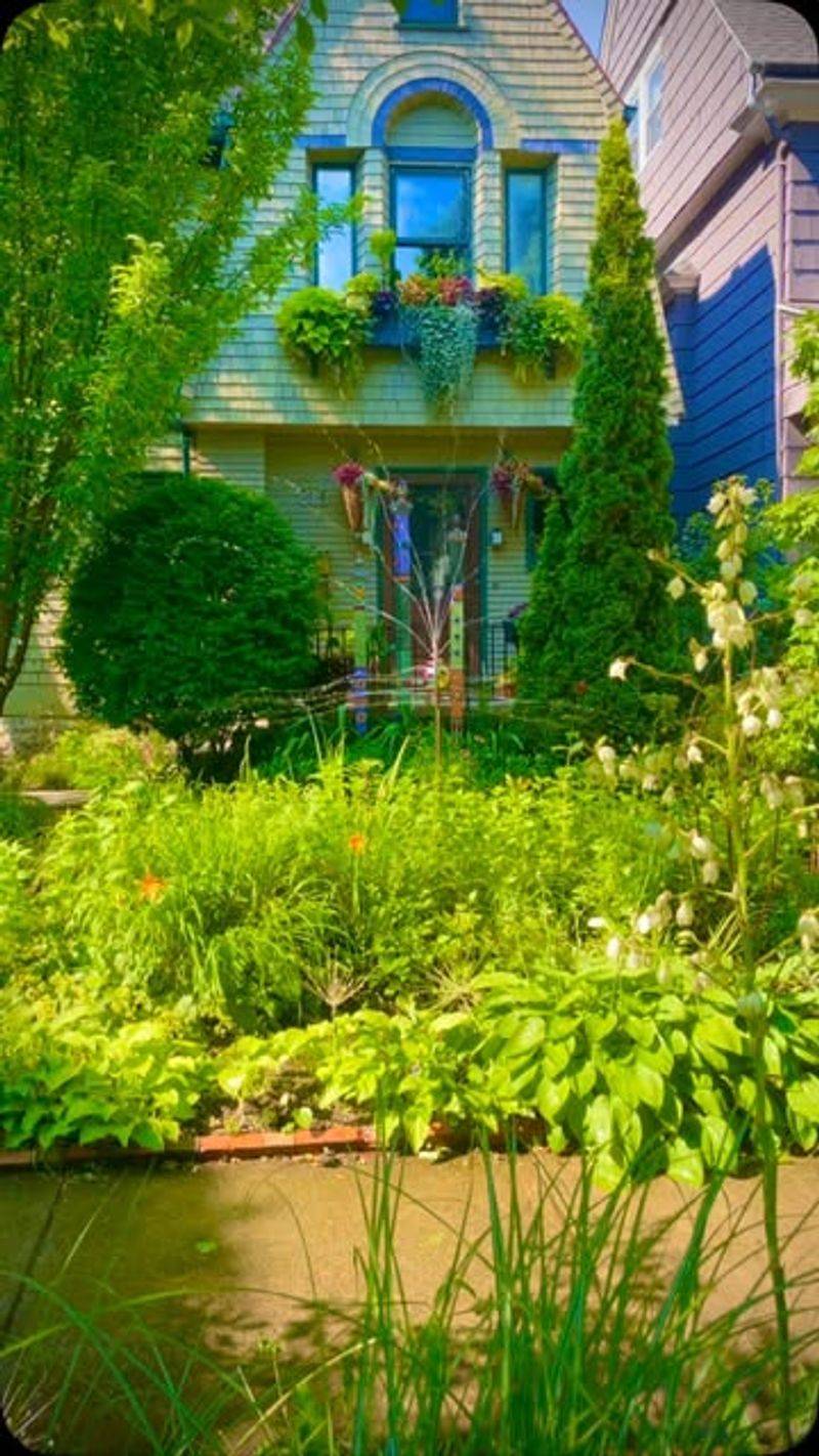 Create Four-Season Color With Evergreens