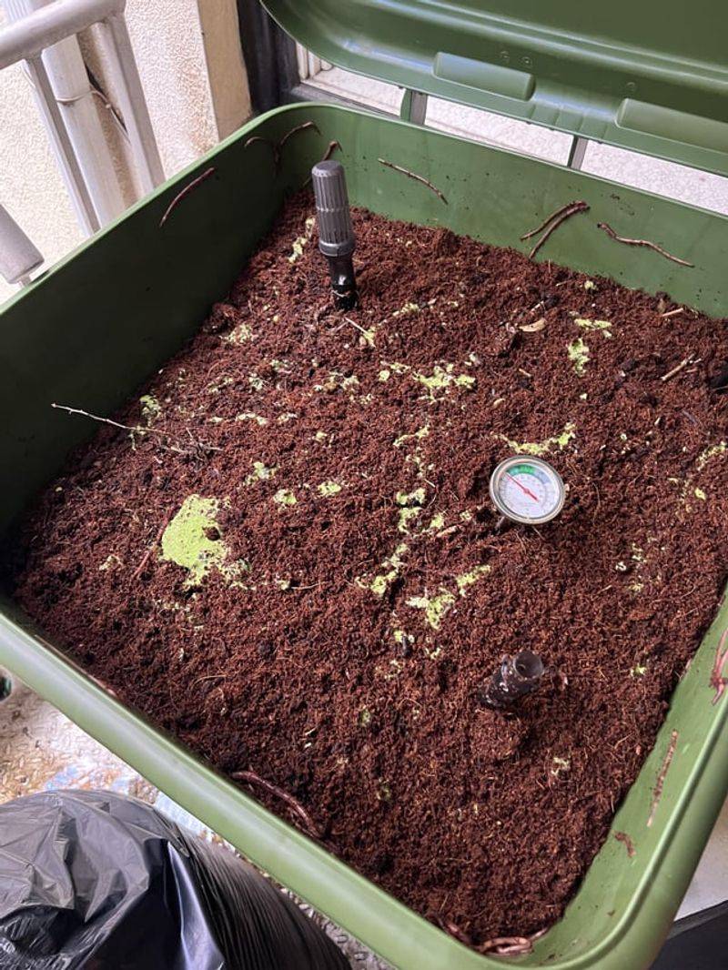 Start Feeding Gradually