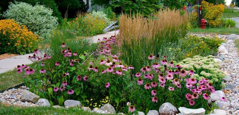 Connecting Multiple Gardens For Watershed Protection