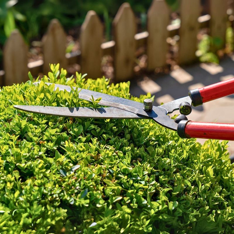 Prune With Purpose