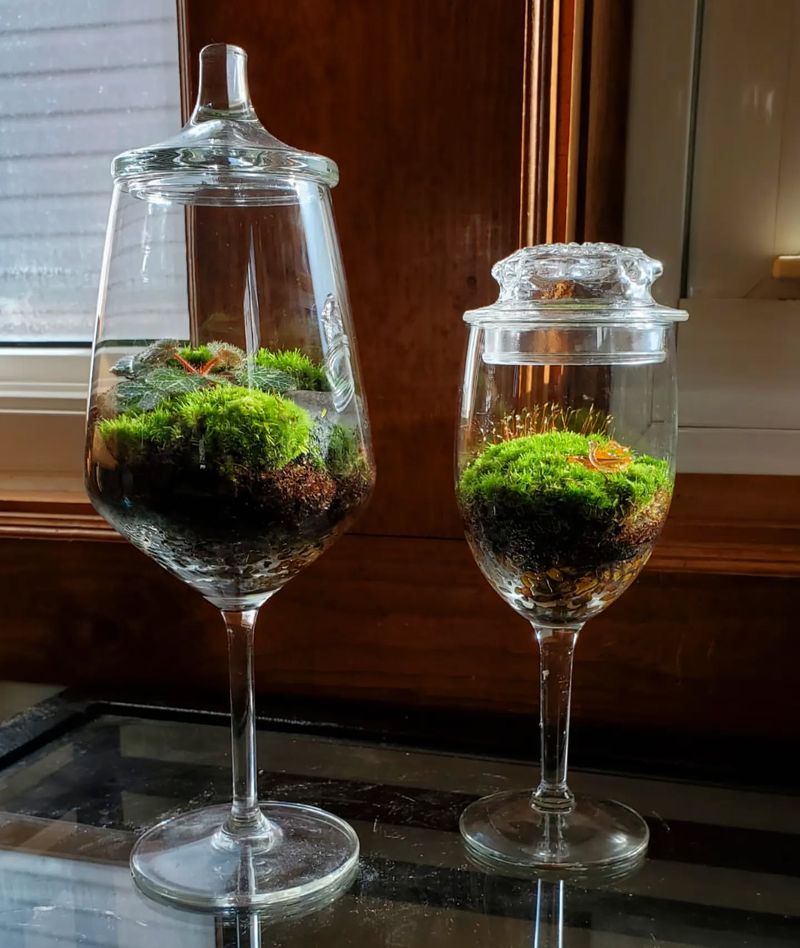 Moss Gardens