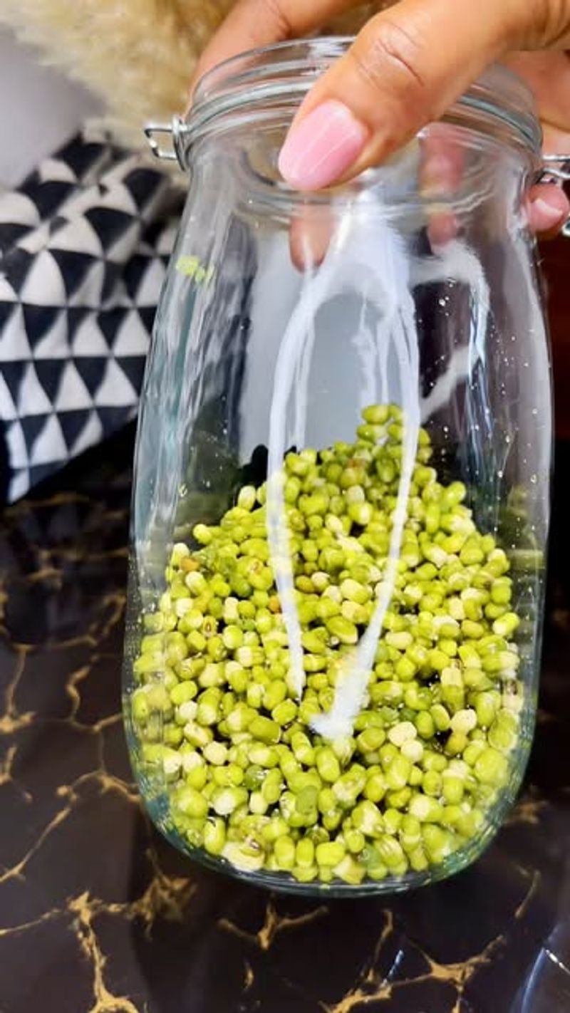 Mung Bean Sprouts