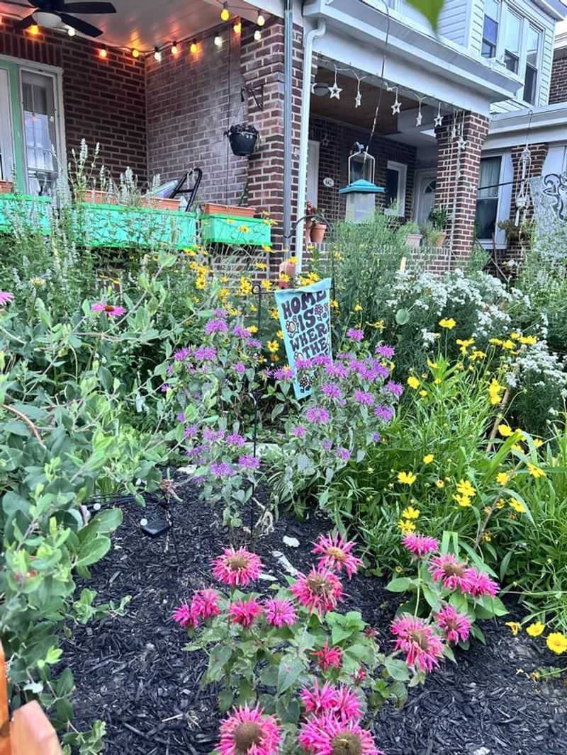 School Bus Stop Gardens