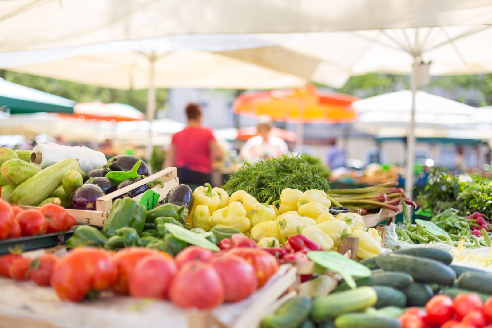 Amish Gardening Heritage And Seasonal Foods At Philadelphia’s Reading Terminal Market