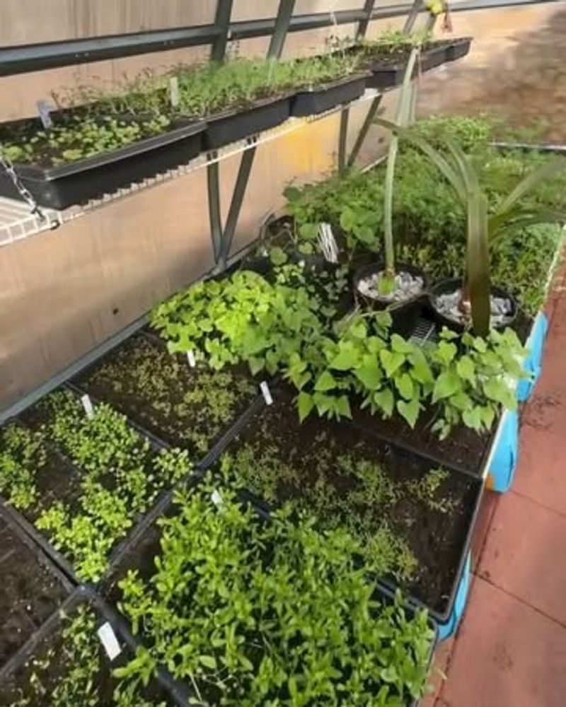Time Your Planting Strategically