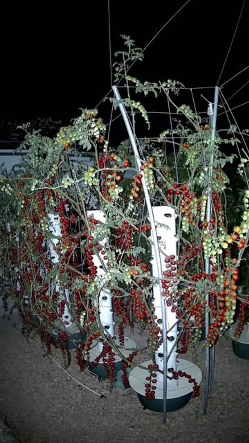 Support Your Plants