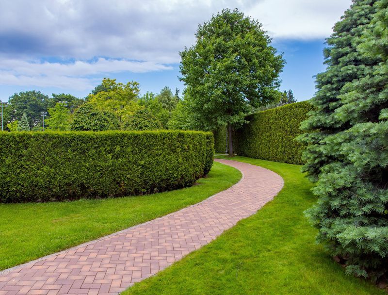 Create Windbreaks With Strategic Landscaping