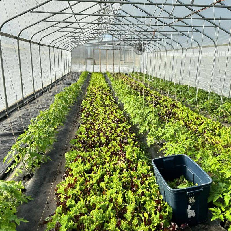 Layer Compost Throughout Season