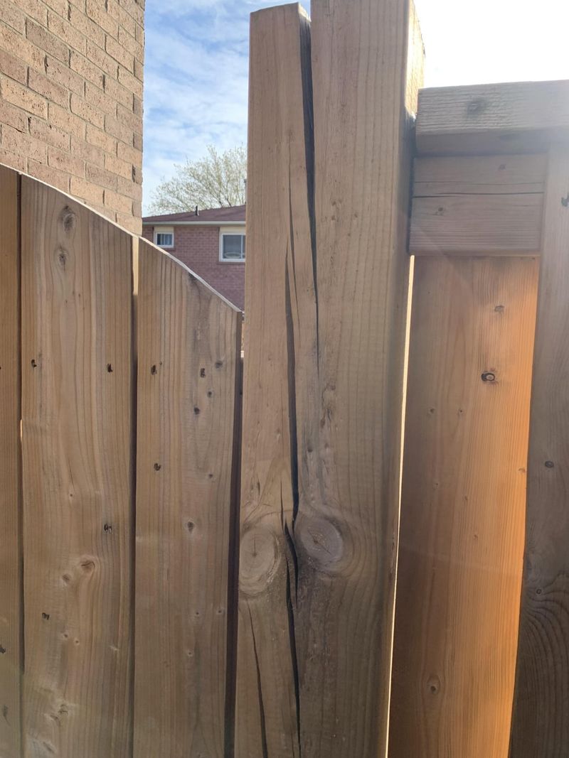 Mend Split Boards With Mending Plates
