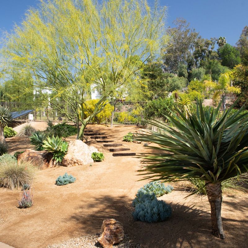 Choose Native Plants That Thrive Naturally