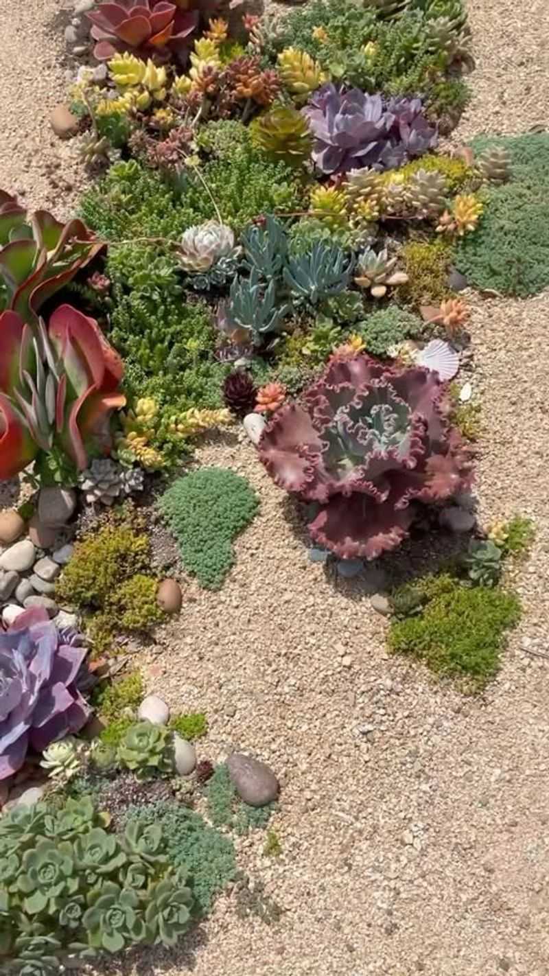Succulent Gardens