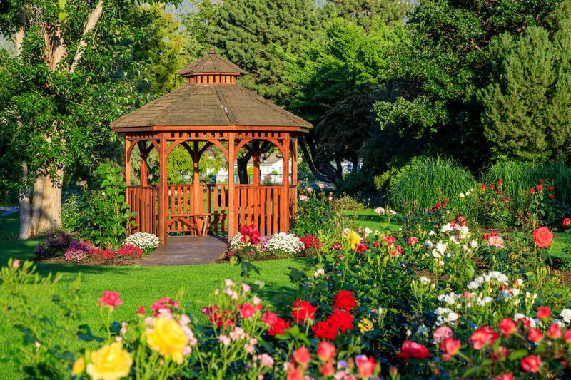 Unapproved Garden Structures