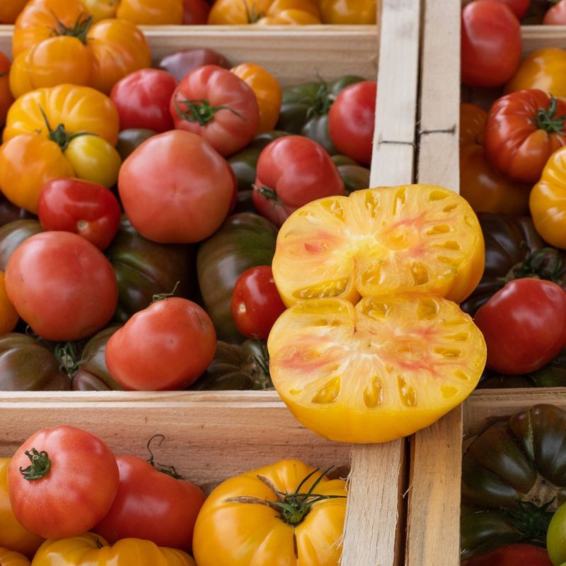 Heirloom Tomatoes Showcasing California Soil