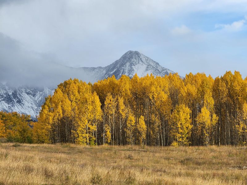 Telluride