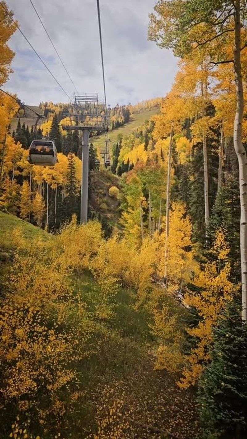 Telluride