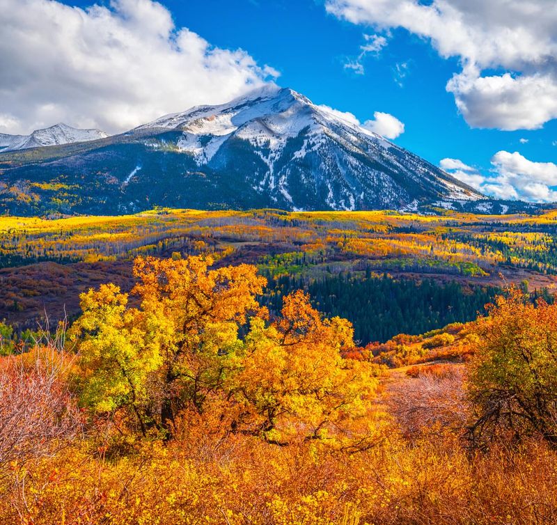 Crested Butte's Golden Valleys