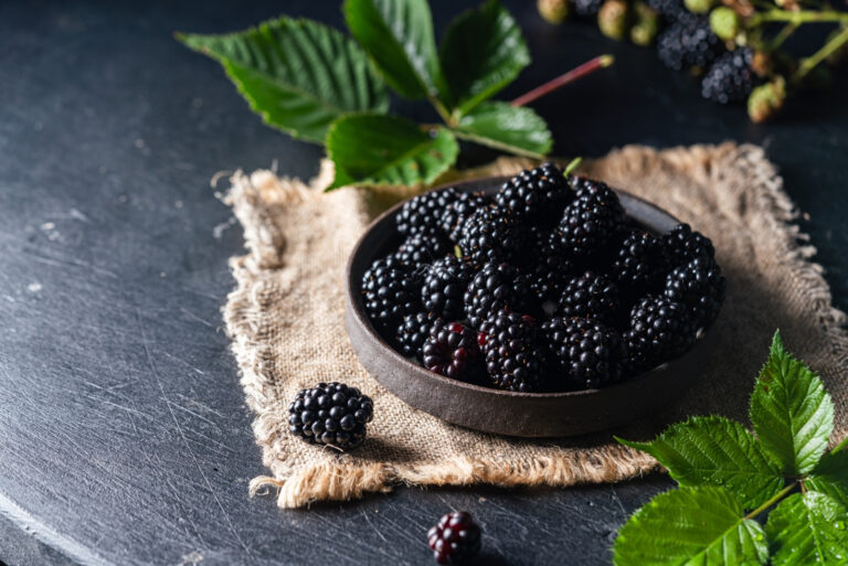 blackberries (featured image)