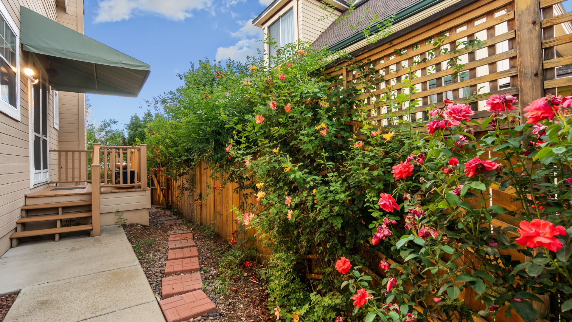 August Garden Mistakes Nevada Gardeners Should Avoid Immediately