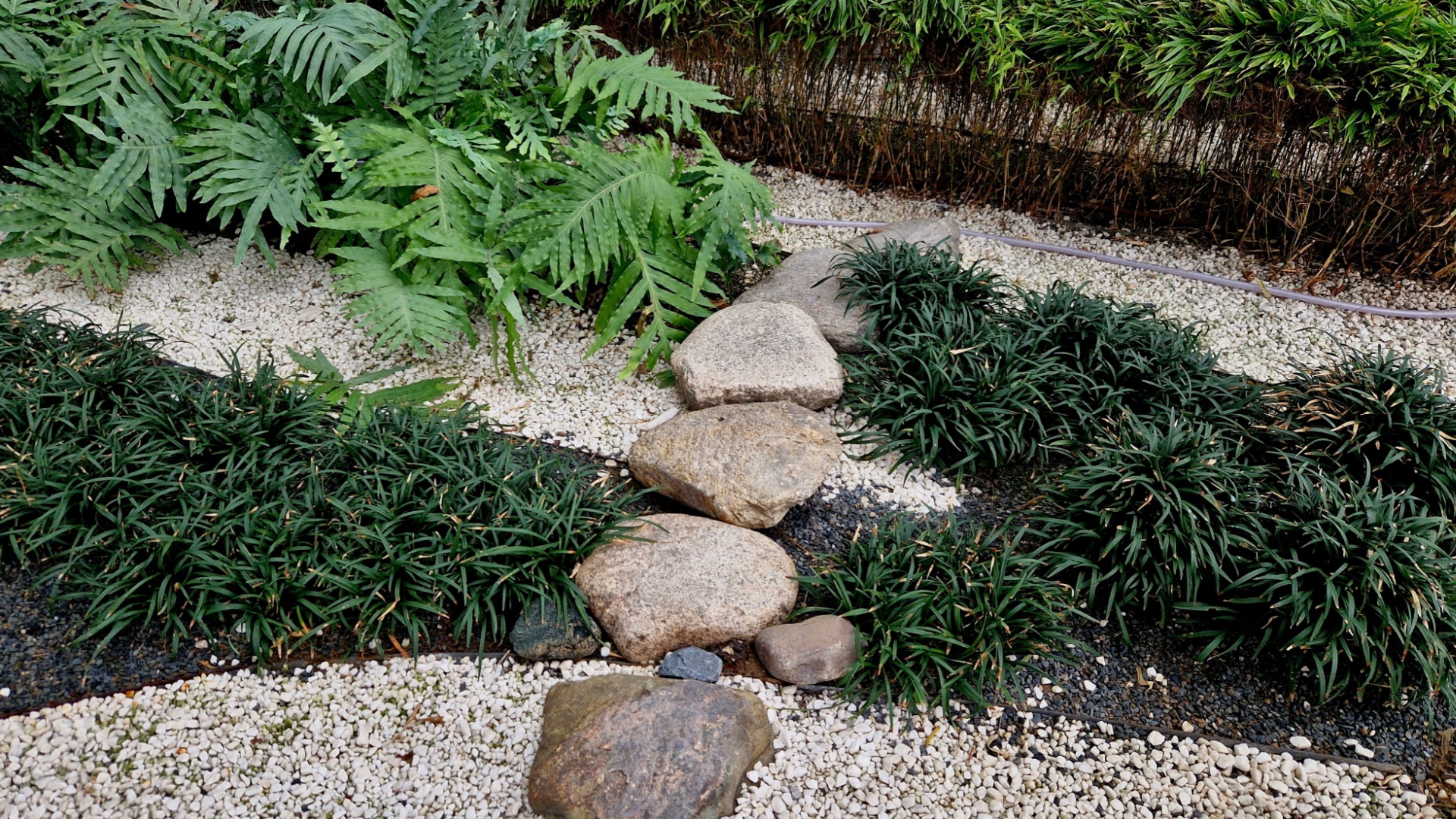 Austin Gardens May Add Zen Corners With Gravel Beds And Native Ferns