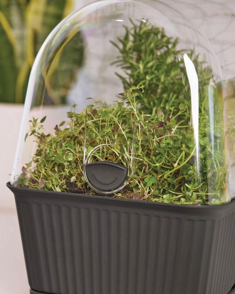 Temporary Greenhouse Effect