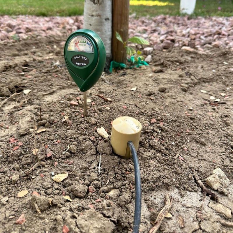 Soil Moisture Monitoring
