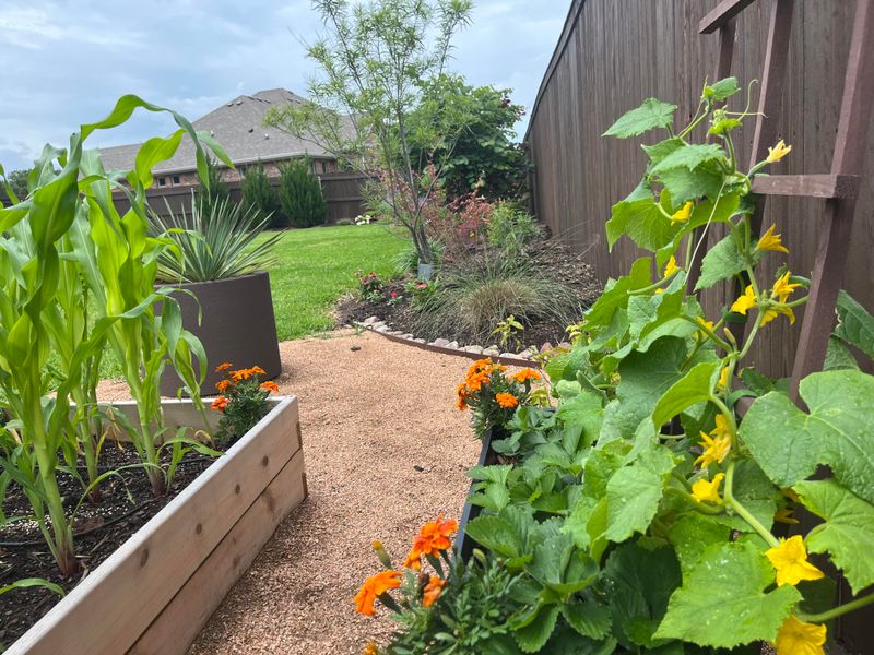 Customized Growing Zones