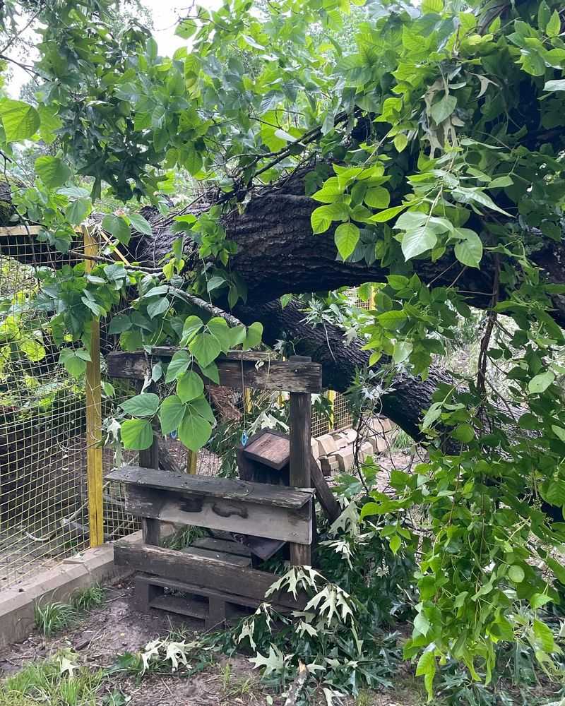 Wind And Storm Damage