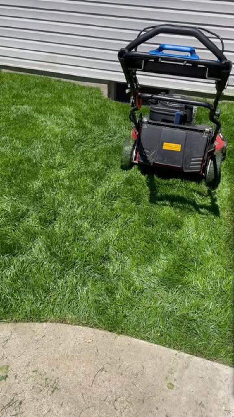 Mowing Too Soon After Installation