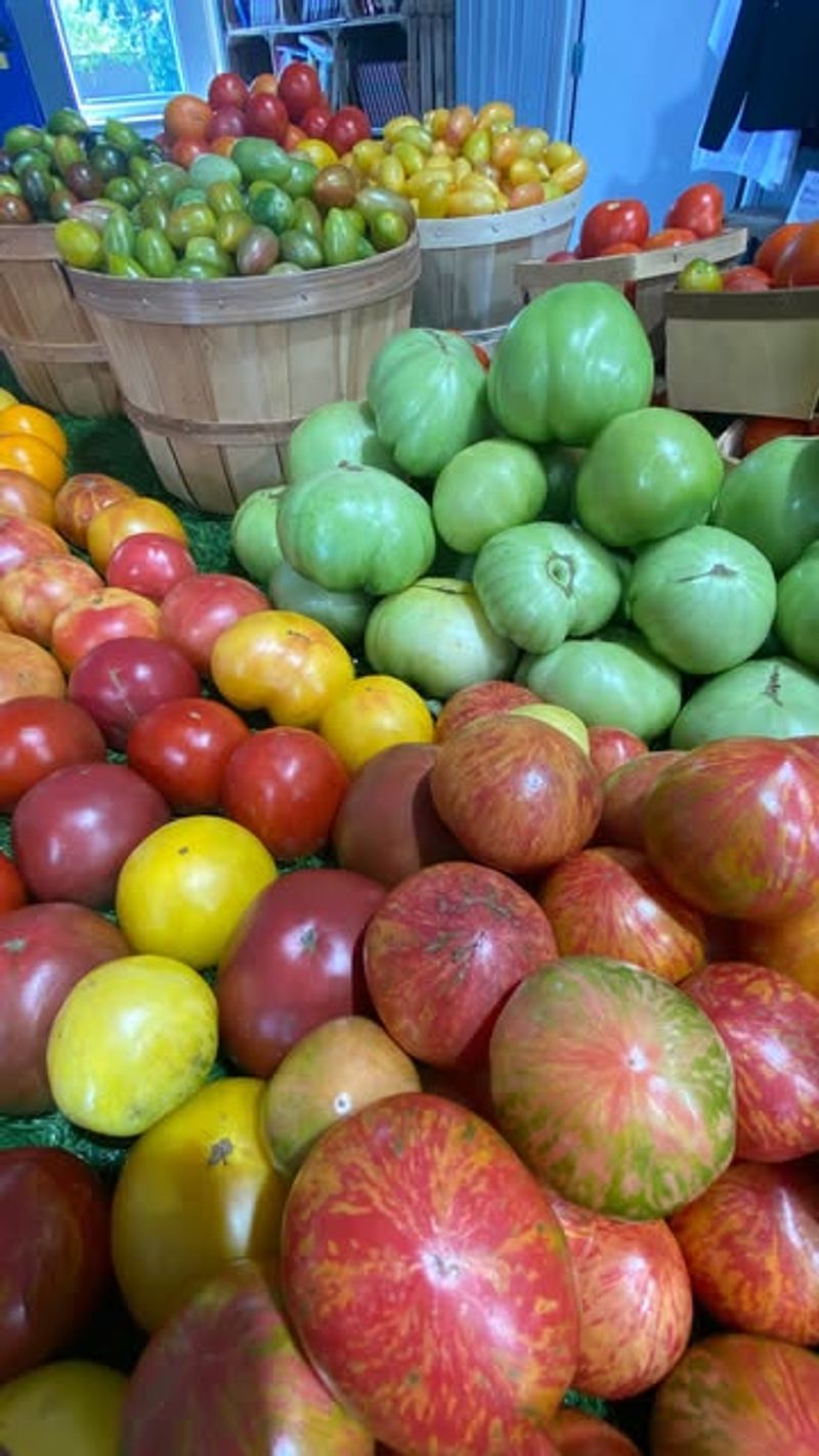 Fresh Produce With Local Connections