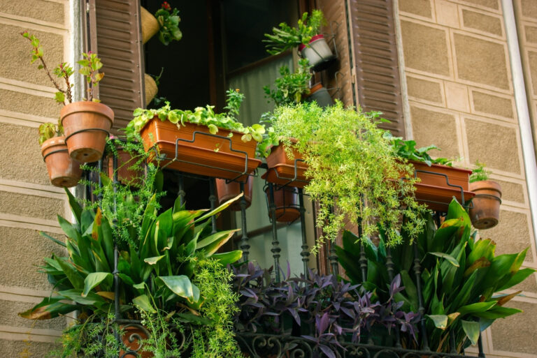 A balcony window with a huge number of mix potted green plants (featured image)