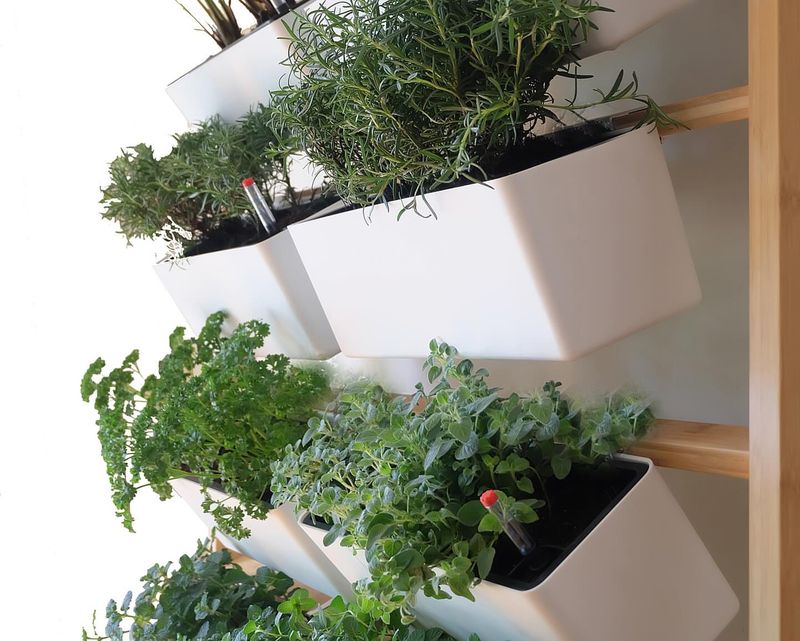 Herb Wall For Kitchen Access