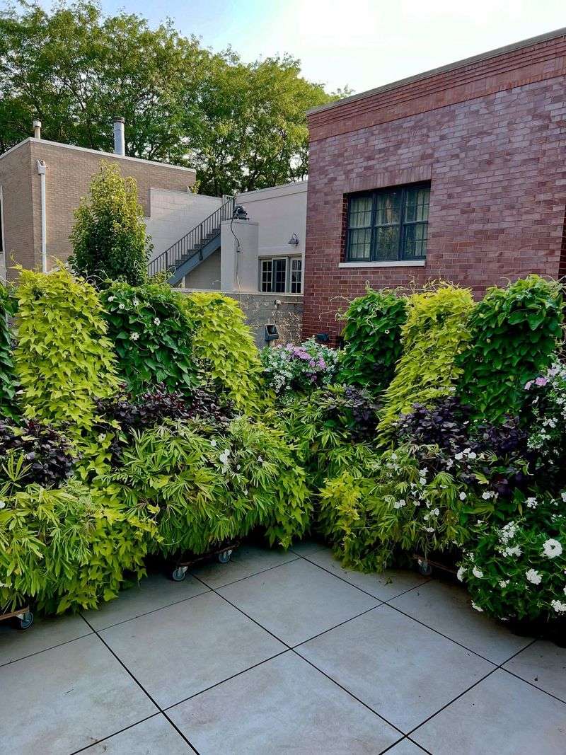 Vertical Garden Trellises