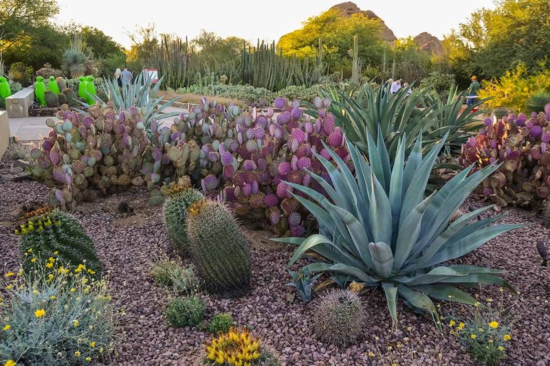 Cactus Garden Hideaway