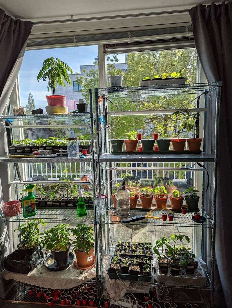 Windowsill Mini-Gardens