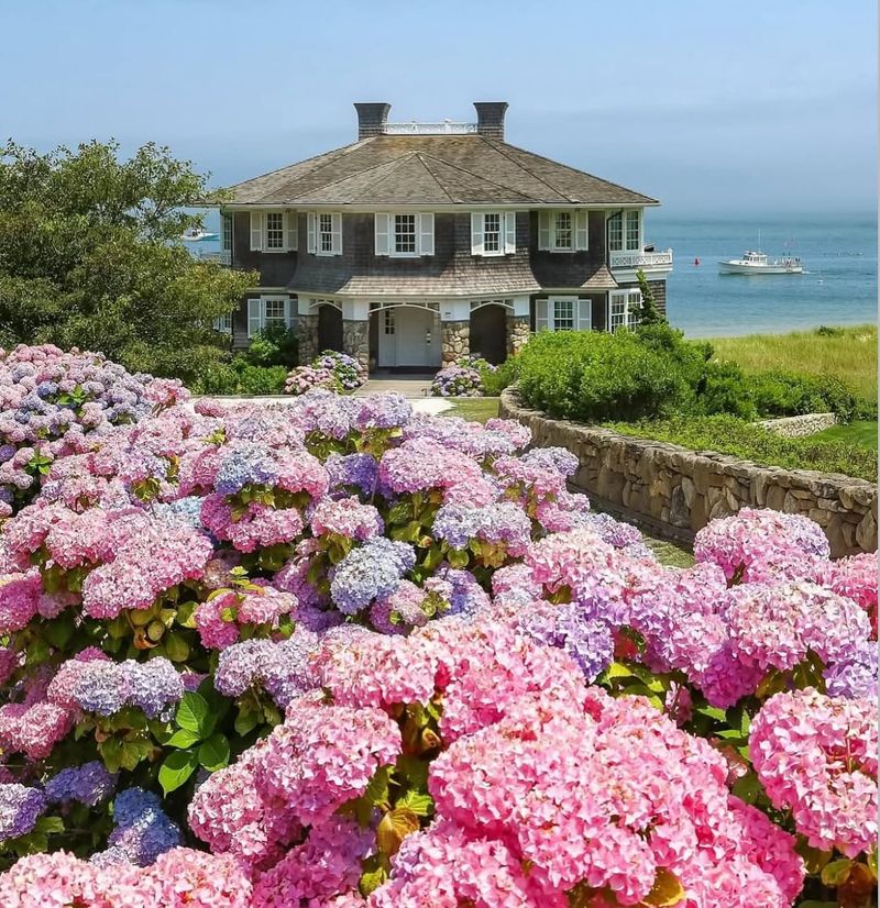 Bald Head Island