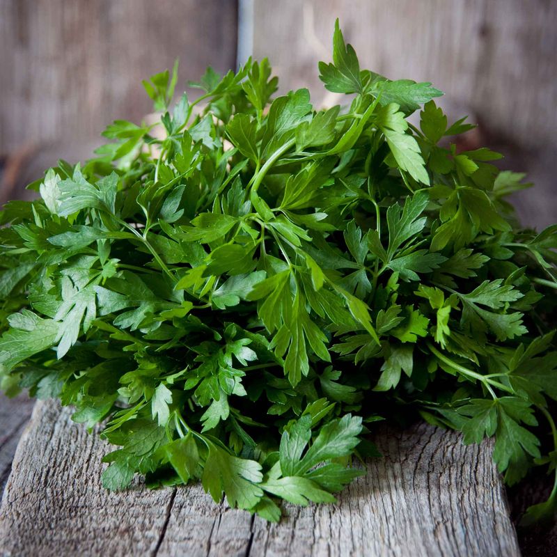 Parsley: The Holiday Garnish Master