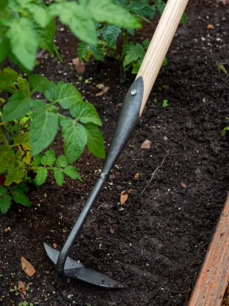 Soil Building Practices Creating Distinctive Flavor Profiles