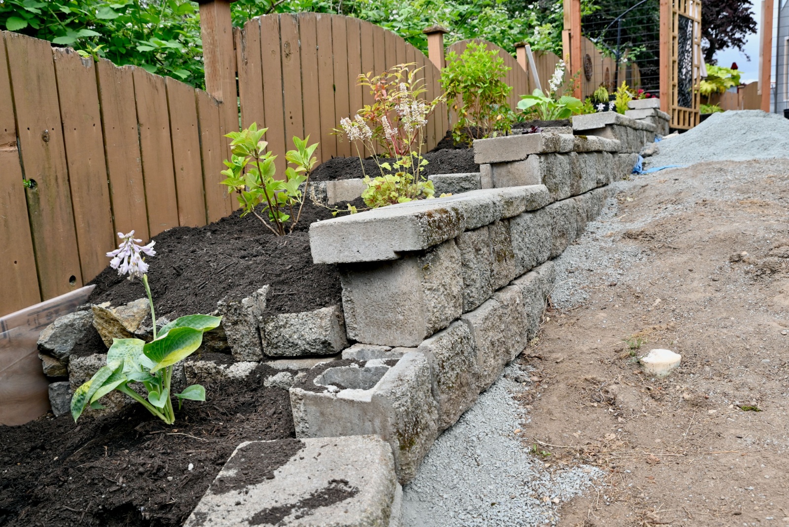 terraced sloped yard