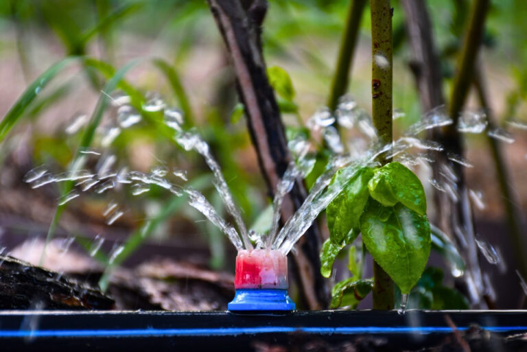 Drip irrigation (featured image)