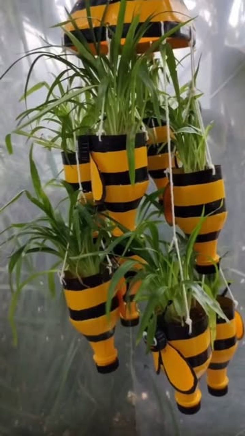 Recycled Plastic Bottle Hanging Gardens