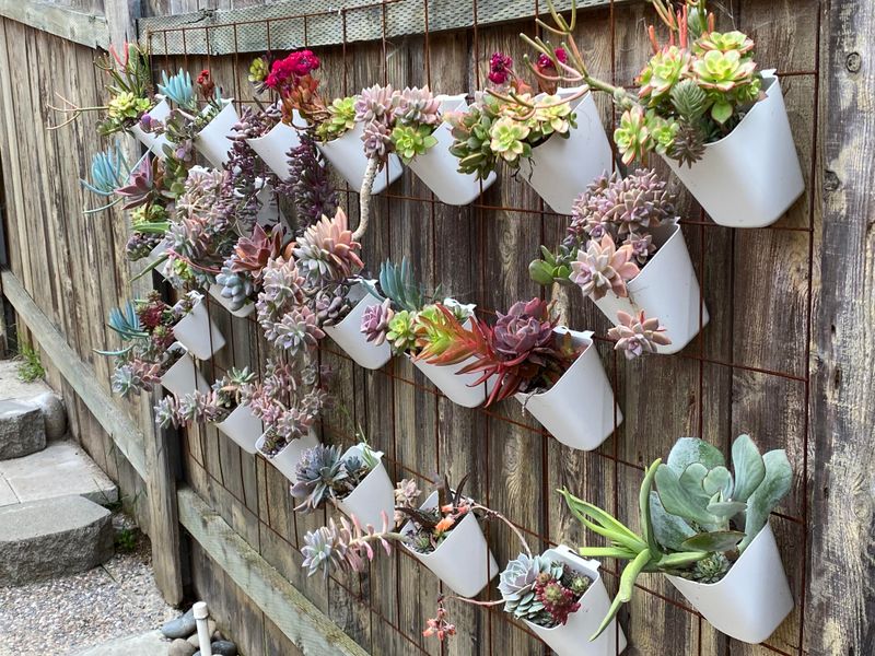 Vertical Succulent Gardens With Edible Accents